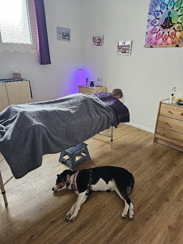 Ein Klient liegt auf der Massageliege, während der Ruhephase. Auf dem Boden darunter sieht man wie ein Hund entspannt liegt. 